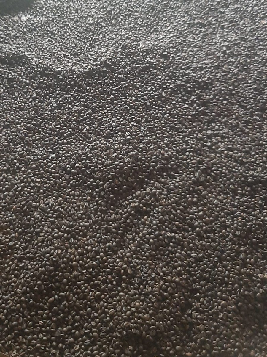 Coffee beans